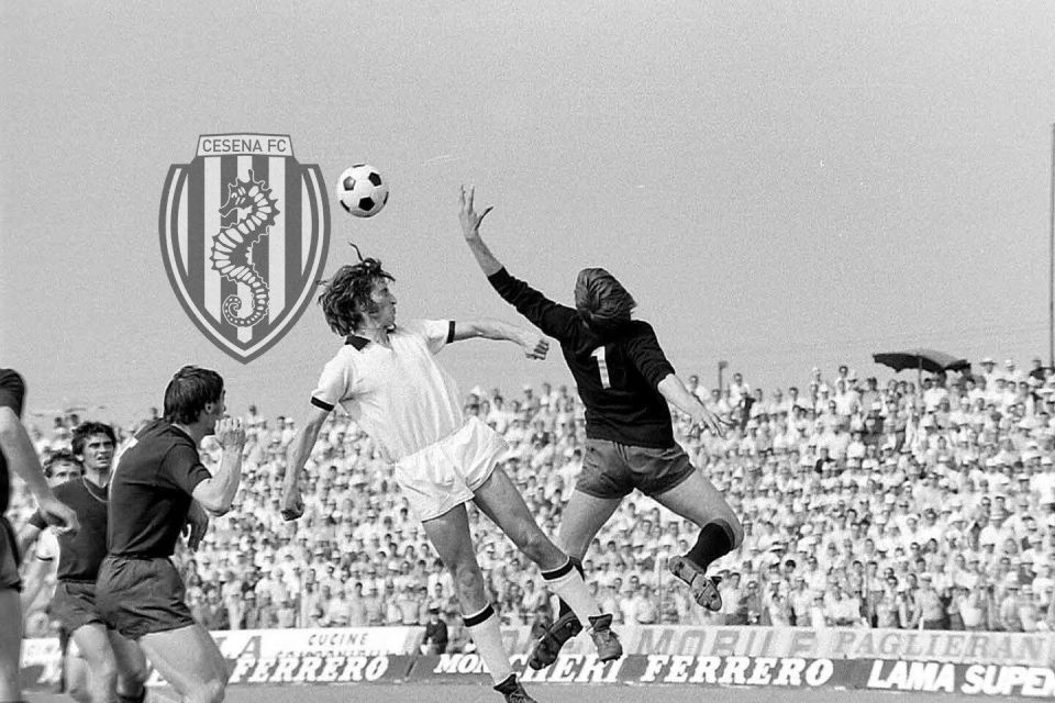 坡地完成六, 职业球员生, 聪慧的头脑 坡地完成六, 职业球员生, 聪慧的头脑